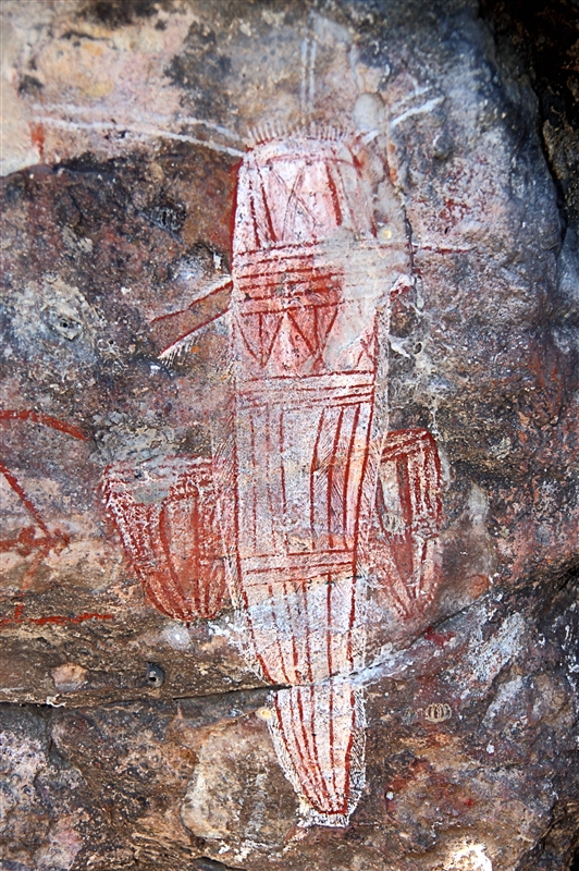 _800Mt Borradaile - Cooper Creek_5708_m - Copy